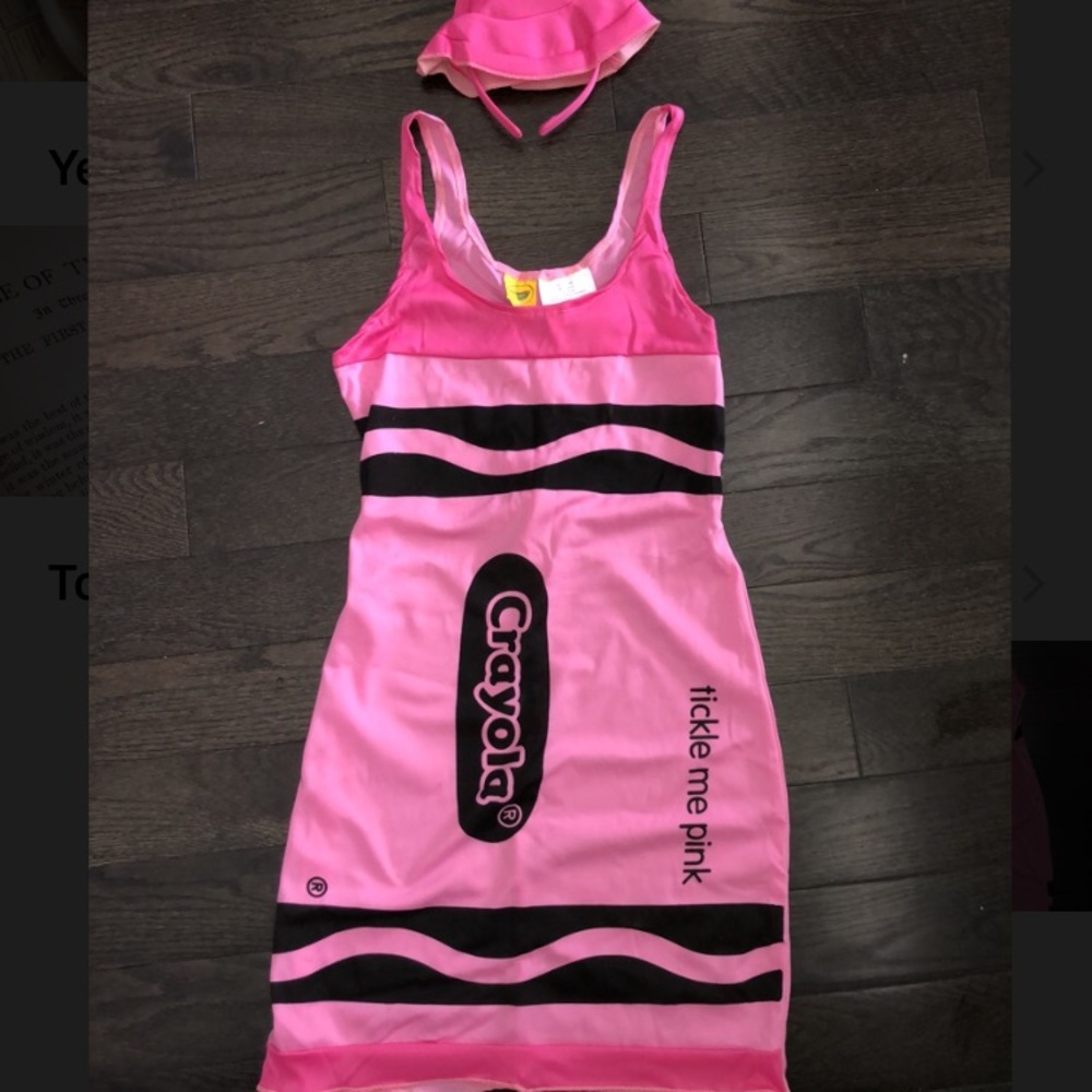 Pink Crayon Halloween Costume❗️ WORN ONCE